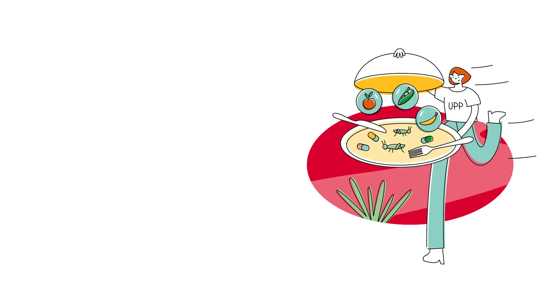 UPP - strona dla kandydatów