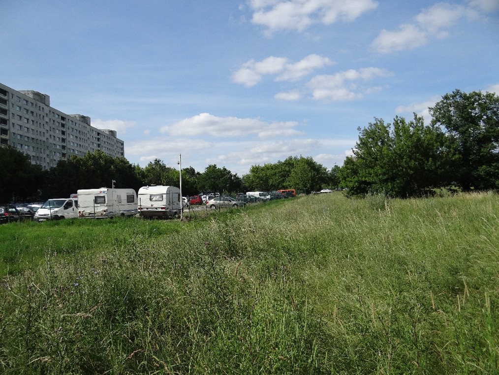 Obszar planowany do renaturyzacji – skanalizowany odcinek Piaśnicy na os. Lecha (Fot. K.Mrozik)