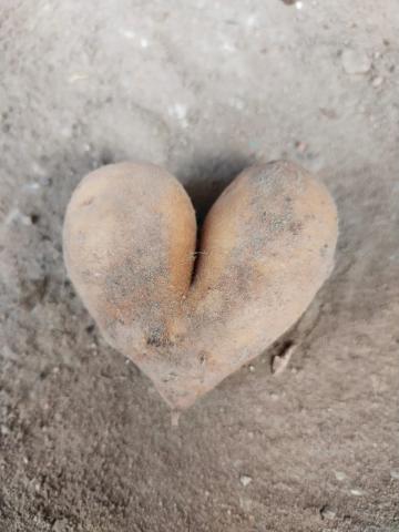 Ziemniak w kształcie serca