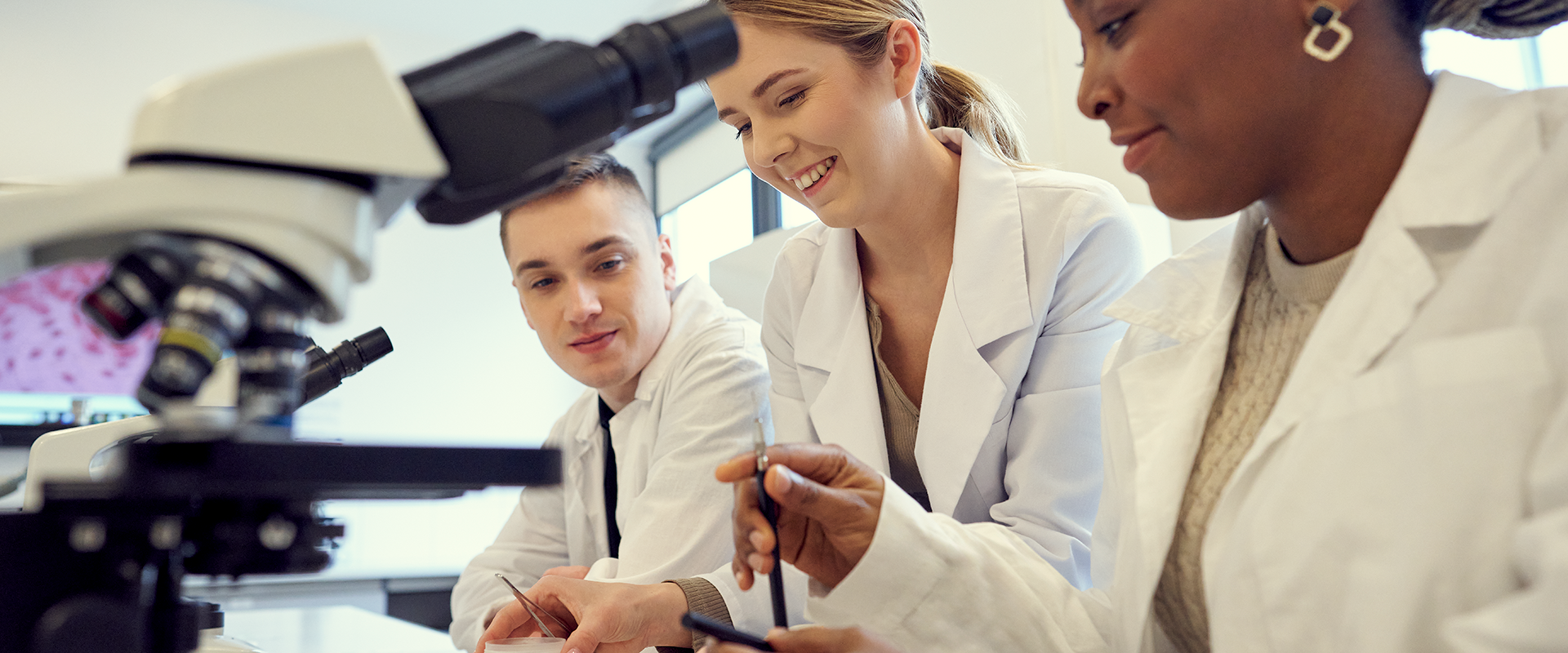 trzy osoby pracują w laboratorium, przygotowują preparaty do oglądania pod mikroskopem