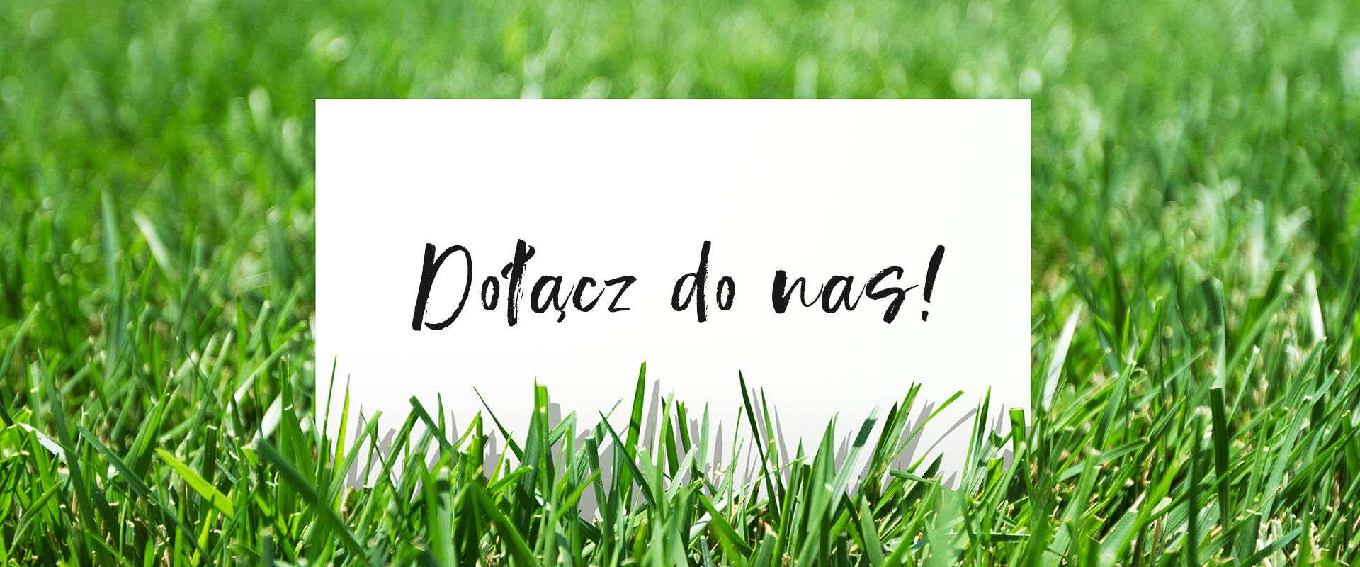 karteczka z napisem 'dołącz do nas!' znajdująca się na trawie