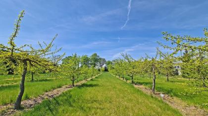 Centrum Edukacji Przyrodniczej Marcelin