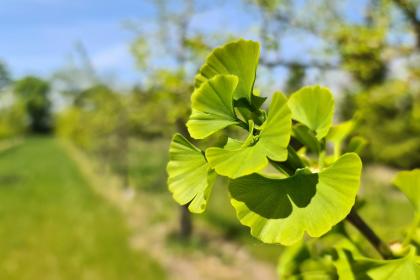Centrum Edukacji Przyrodniczej Marcelin