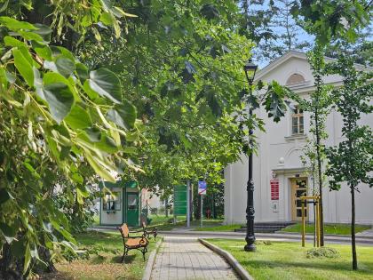 ścieżka prowadząca do budynku Domu Absolwenta na kampusie Cieszkowskich Uniwersytetu Przyrodniczego w Poznaniu