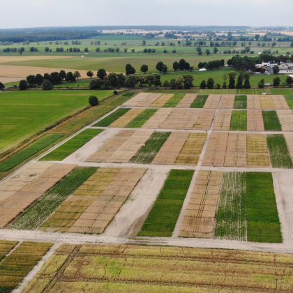 Pole doświadczalne w Brodach