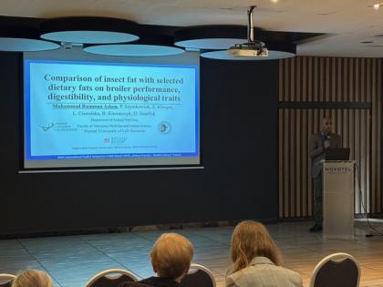 Muhammad Rumman Aslam