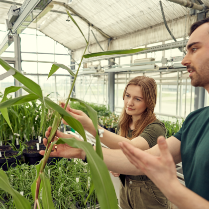 dwie osoby w szklarni