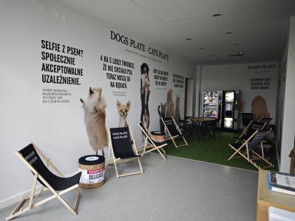 strefa chillu na Wydziale Medycyny Weterynaryjnej i Nauk o Zwierzętach