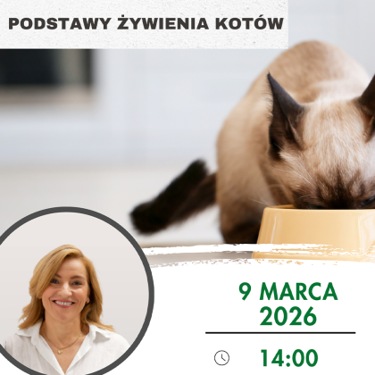 zywienie kotów grafika