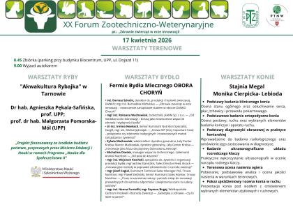 grafika informacyjna