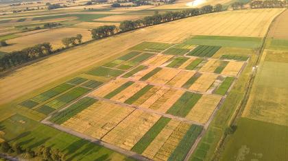 widok na pole z lotu ptaka
