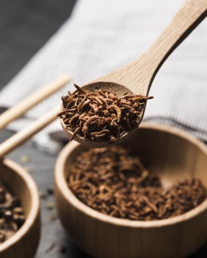 owady jadalne w miseczce 