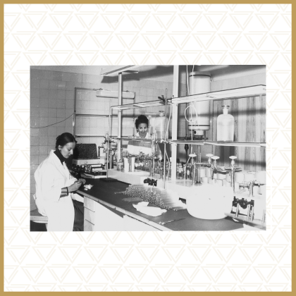 Dawne Laboratorium Ochrony Lasu