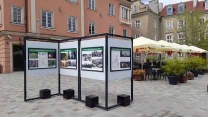 Wystawa jubileuszowa Ogrodów Dendrologicznego i Botanicznego na Placu Kolegiackim