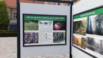 Wystawa jubileuszowa Ogrodów Dendrologicznego i Botanicznego na Placu Kolegiackim