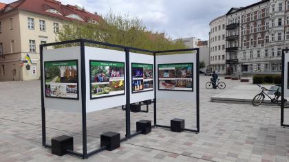 Wystawa jubileuszowa Ogrodów Dendrologicznego i Botanicznego na Placu Kolegiackim