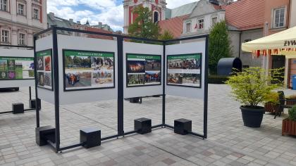 Wystawa jubileuszowa Ogrodów Dendrologicznego i Botanicznego na Placu Kolegiackim