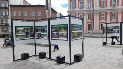 Wystawa jubileuszowa Ogrodów Dendrologicznego i Botanicznego na Placu Kolegiackim