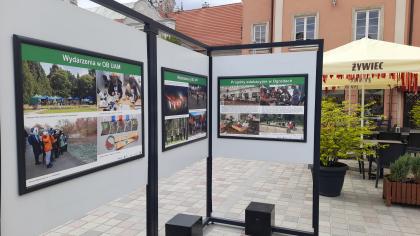 Wystawa jubileuszowa Ogrodów Dendrologicznego i Botanicznego na Placu Kolegiackim