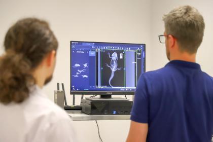 Dwóch mężczyzn ogląda zdjęcie RTG zwierzęcia na ekranie