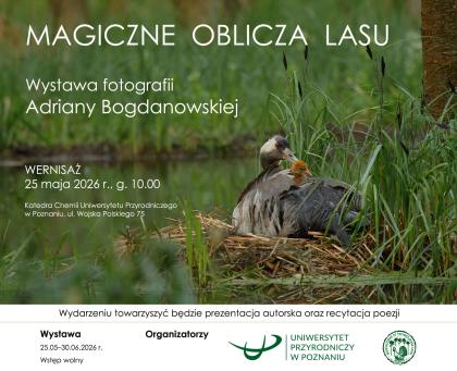 grafika informacyjna