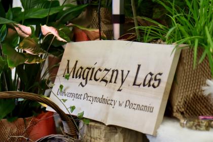 Tabliczka drewniana z napisem Magiczny Las
