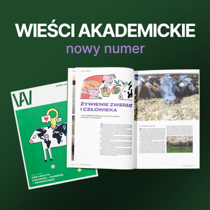 grafika informacyjna
