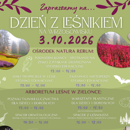 Grafika informacyjna