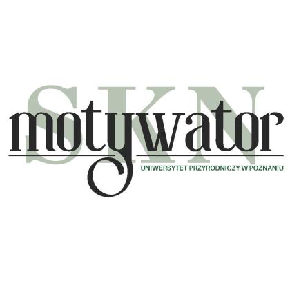 program motywator - logo