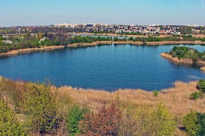 szachty